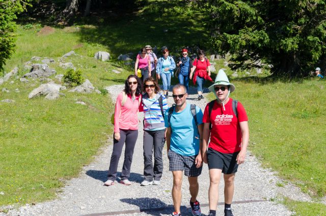 20140704 Velika planina - foto