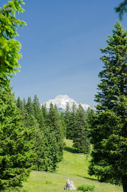 20140704 Velika planina - foto