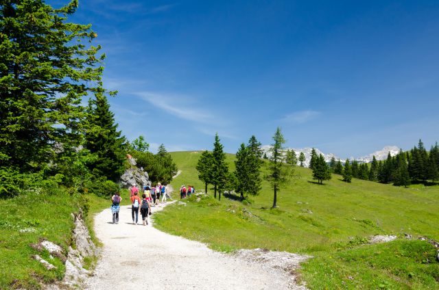 20140704 Velika planina - foto