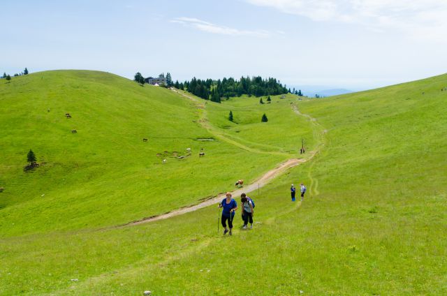 20140704 Velika planina - foto