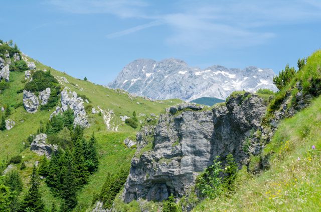 20140704 Velika planina - foto