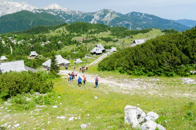 20140704 Velika planina - foto