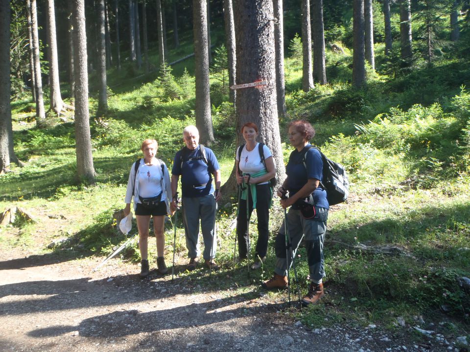 20140717 Lipanca -  Debela peč - foto povečava