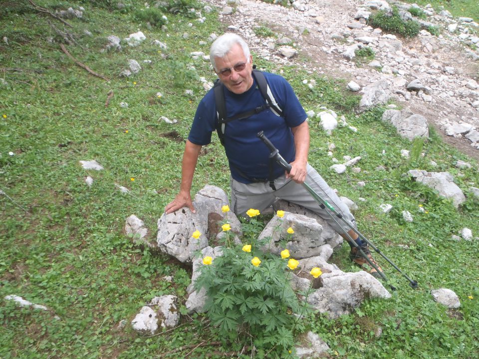 20140717 Lipanca -  Debela peč - foto povečava