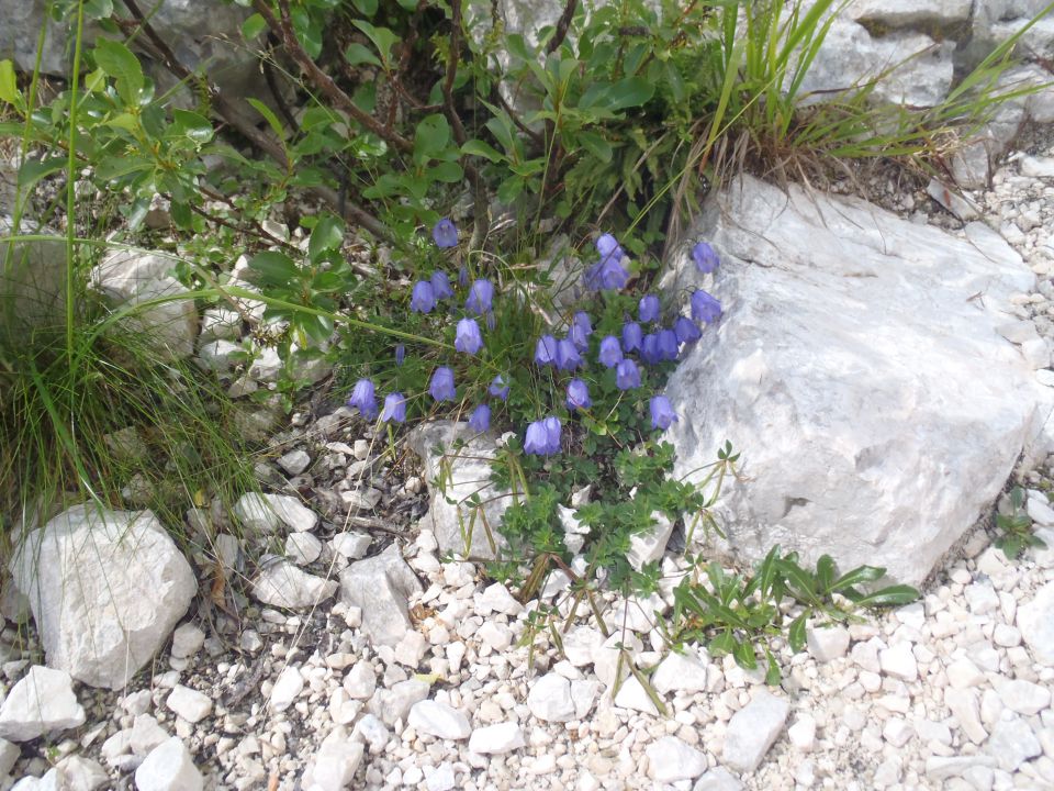 20140802 Vrata,Luknja,Gamsovec,Stenar - foto povečava