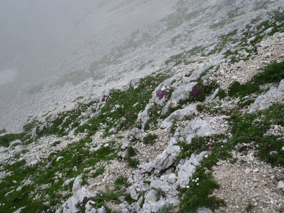 20140802 Vrata,Luknja,Gamsovec,Stenar - foto povečava