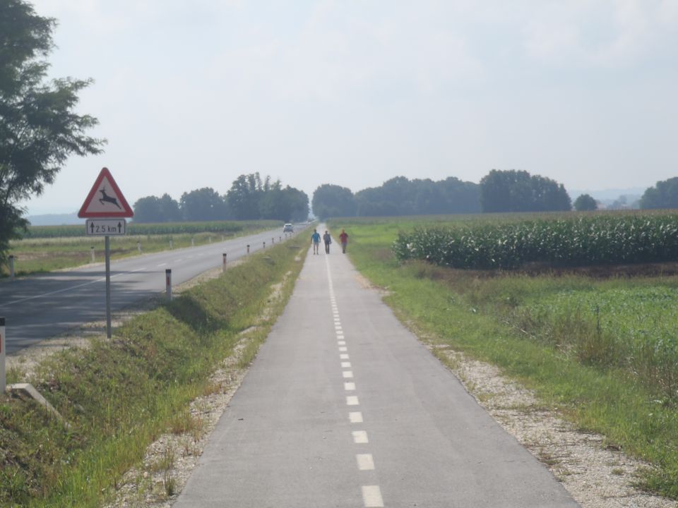 20140802 Po vaseh obč. Beltinci - foto povečava