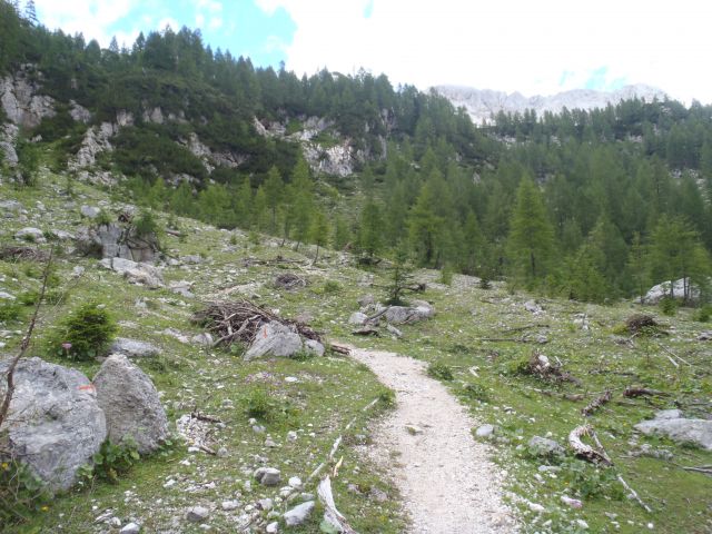 20140817 Rudno p.-Vodnik-Begunj.vr.-Kredarica - foto