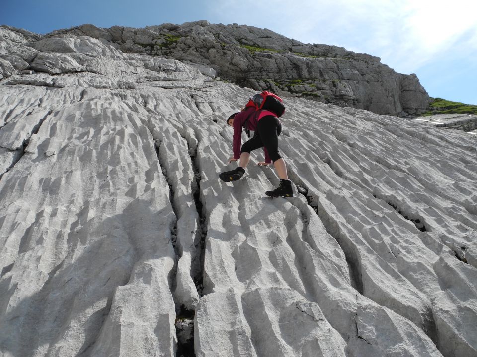 20140807 Turski ž. foto Lado Klar,Luka Veren - foto povečava