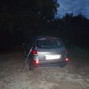 20140819 Slavnik - bujno rastje