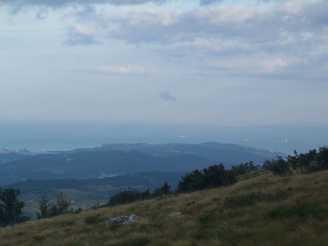 20140819 Slavnik - bujno rastje - foto