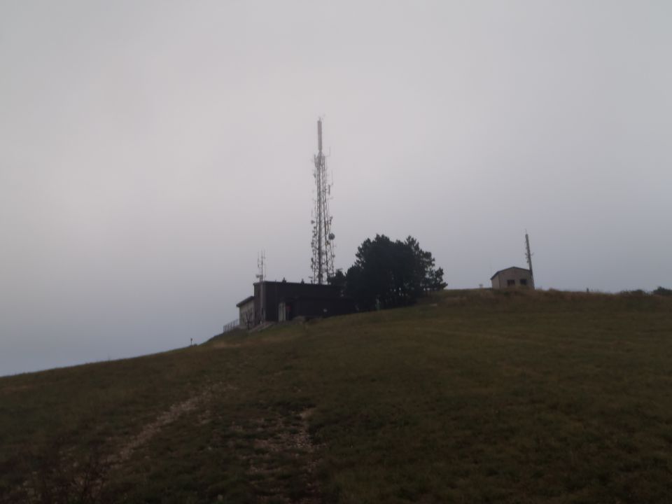 20140819 Slavnik - bujno rastje - foto povečava