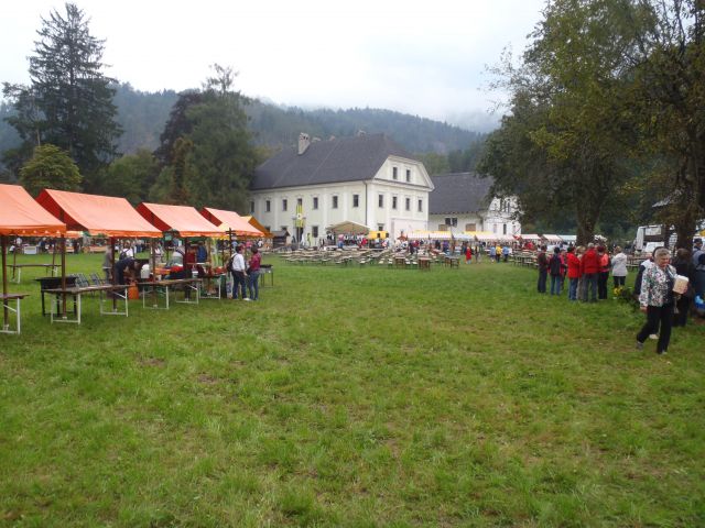 20140906 Na pražen krompir na gorenjsko - foto