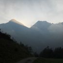 20140919 Zelenjak-Palec-Triangel