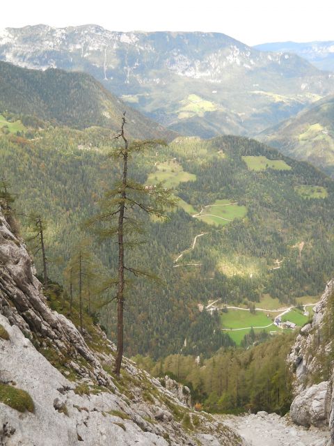 Pogled na Robanov kot in Olševo