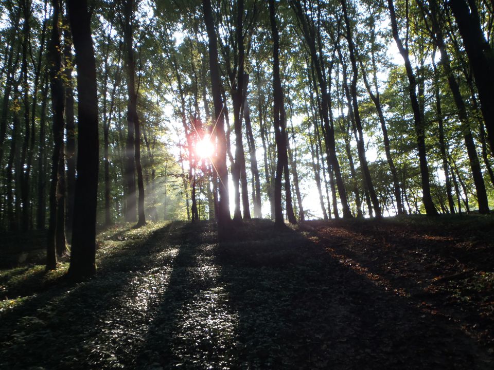 20141003 Po PPP z OŠ Beltinci - foto povečava