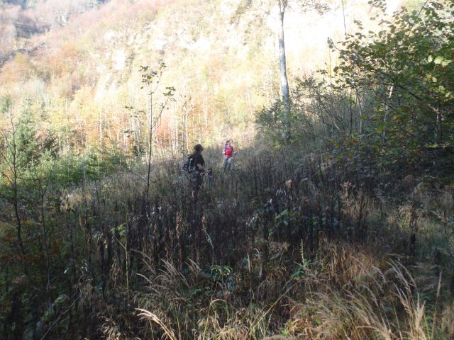 20141012 Kogel čez Gamsov skret - foto