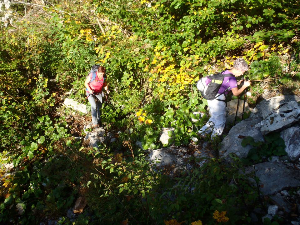 20141012 Kogel čez Gamsov skret - foto povečava