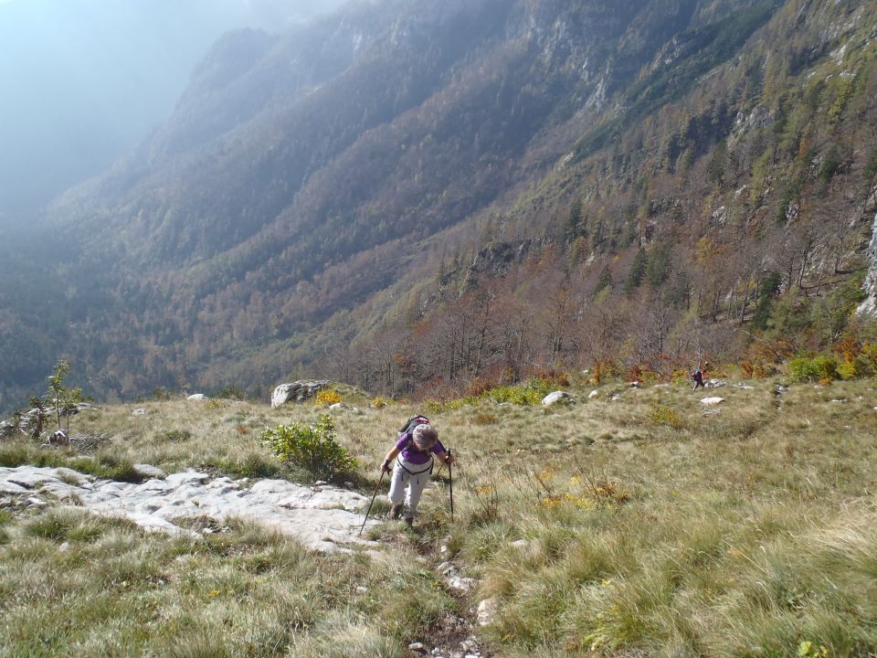 20141012 Kogel čez Gamsov skret - foto povečava