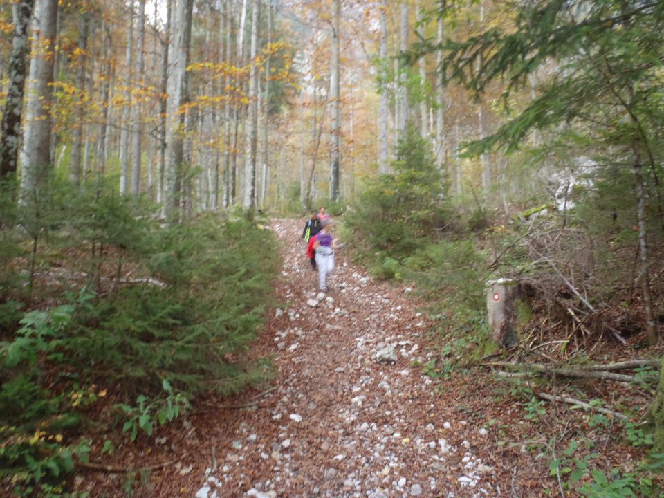 20141012 Kogel čez Gamsov skret - foto povečava