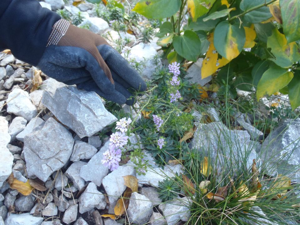 20141019 Gradiška tura-Abram,malo krožno. - foto povečava