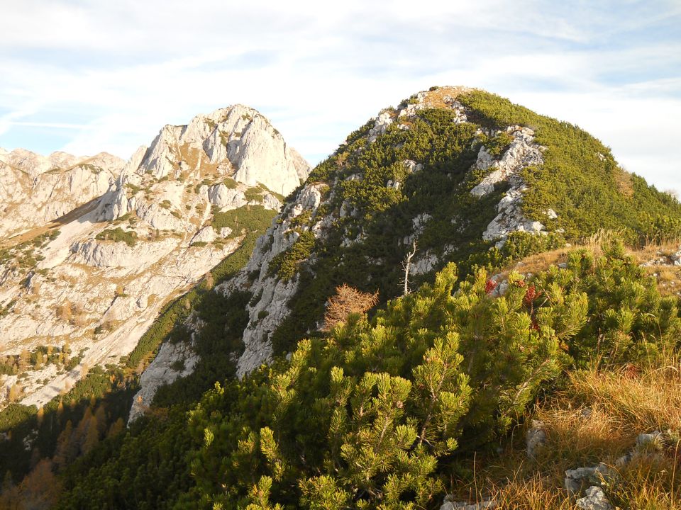 Razgled iz predvrha na Škednjovec (levo) in vrh Ksteniškega Stoga (desno)