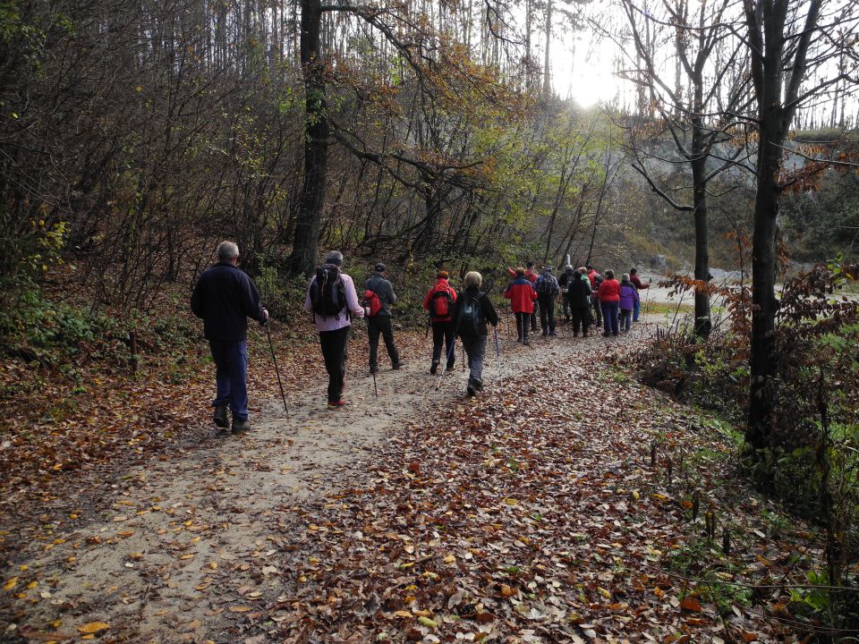 20141116 Boč in Zavrh - foto povečava