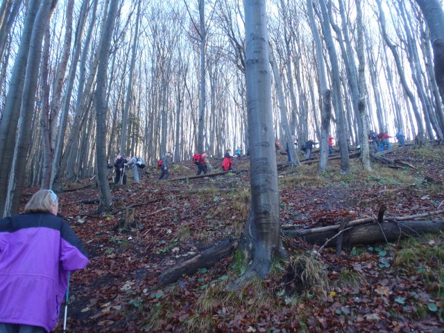 20141116 Boč in Zavrh - foto