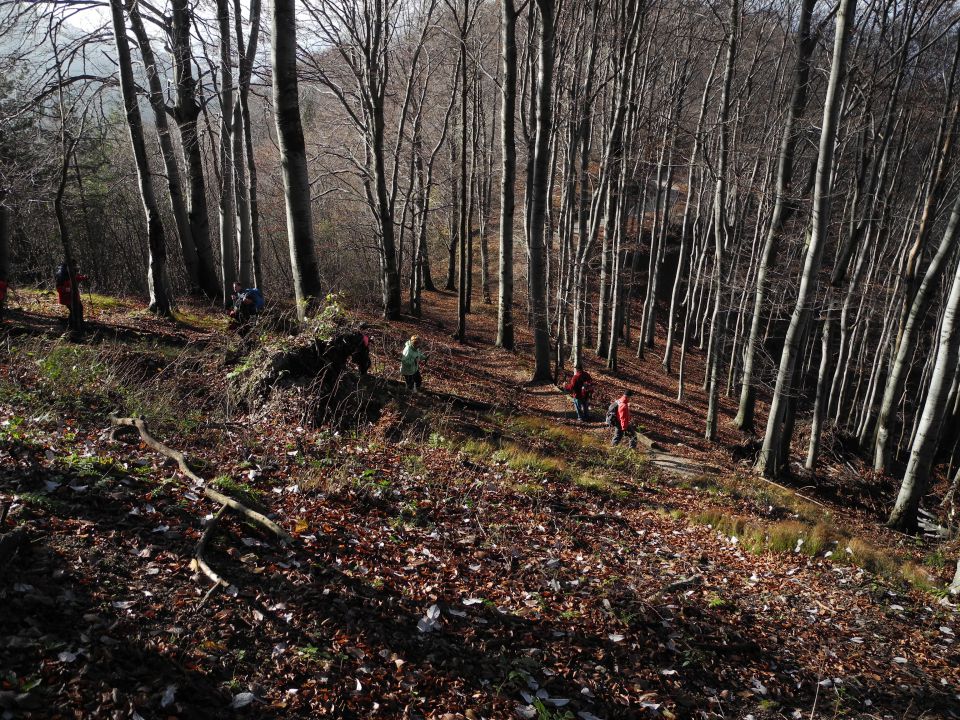 20141116 Boč in Zavrh - foto povečava