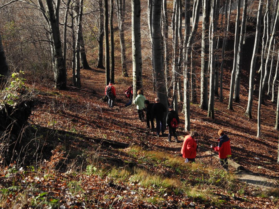 20141116 Boč in Zavrh - foto povečava