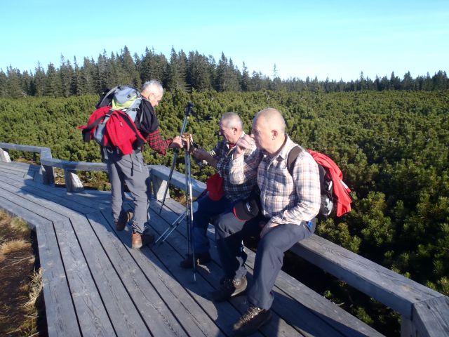 20141123 Ribniška k.j.,Lovrenška,Pesek,Rogla - foto