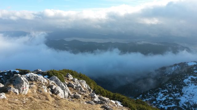 Razgled iz vrha na Pokljuko in njena pobočja