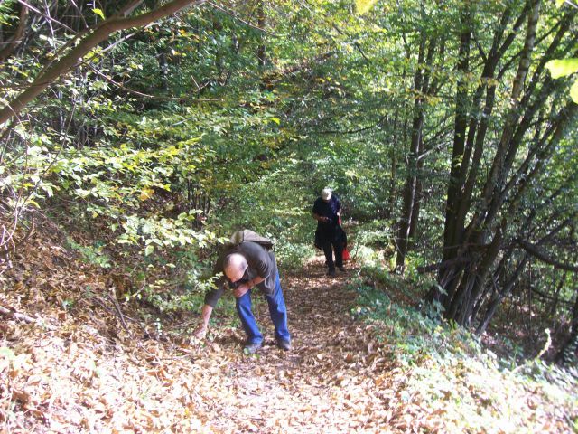 20141012 Žavcarjev vrh - kostanji - foto