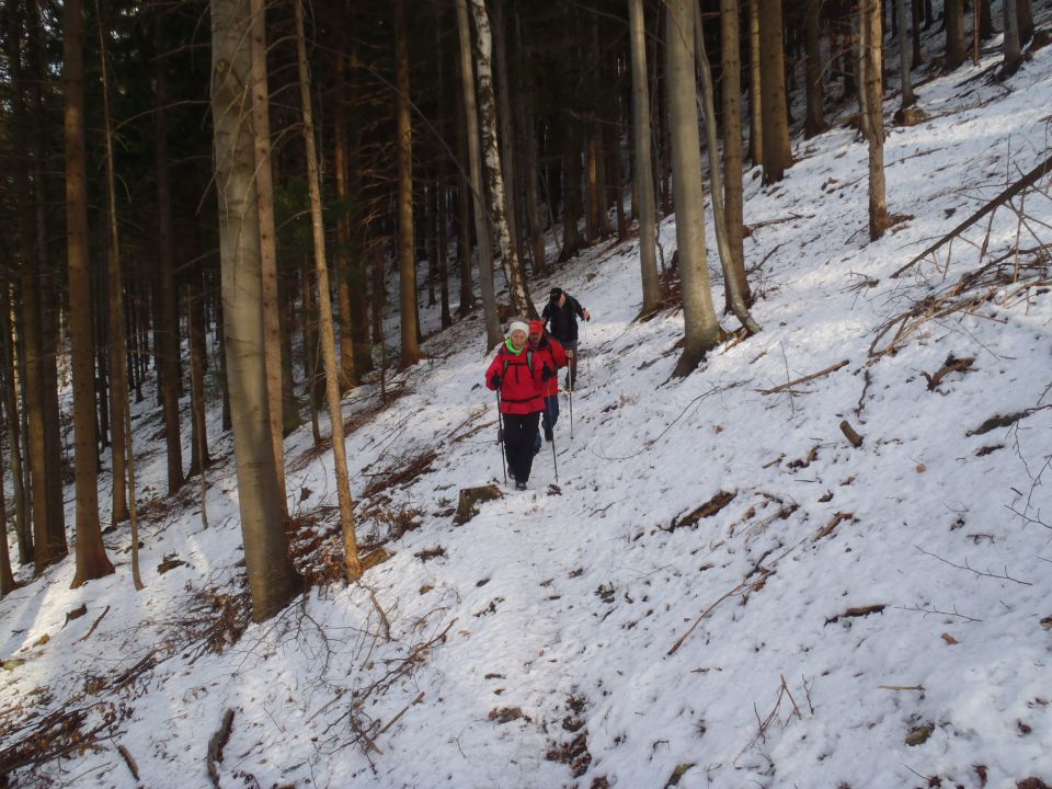 20141213 Maček-Kope-Planinc-Kremžar - foto povečava