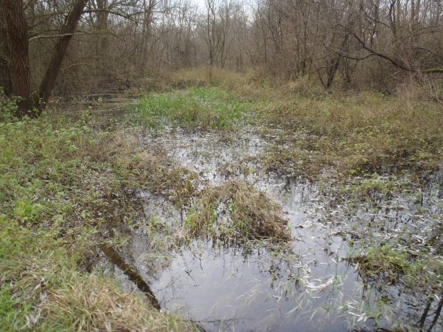 20141214 Mikloušov pohod,MS-Krog-Brod - foto