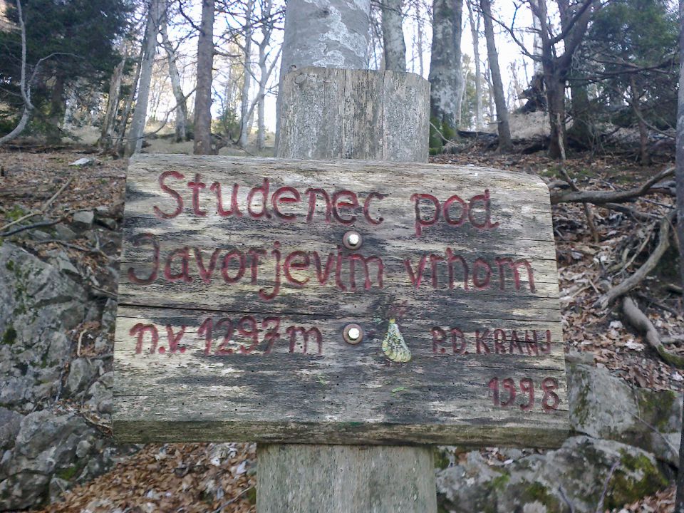 Studenec pod Javorjevim vrhom (1297m)