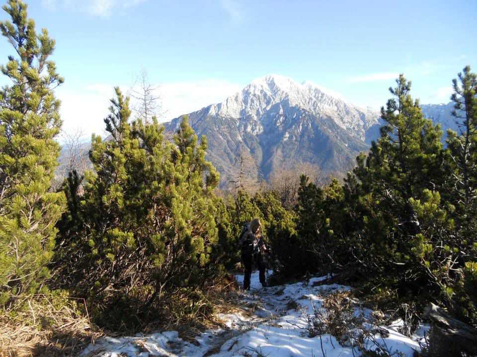 Pot na Cjanovco ter razgled na Kočno (levo) in Grintovec (desno)