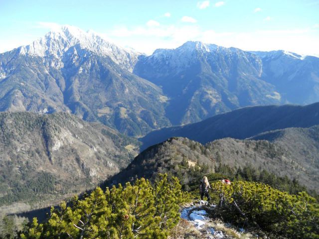 Pot na Cjanovco ter razgled na Kočno, Grintovec, Kalško goro in greben
