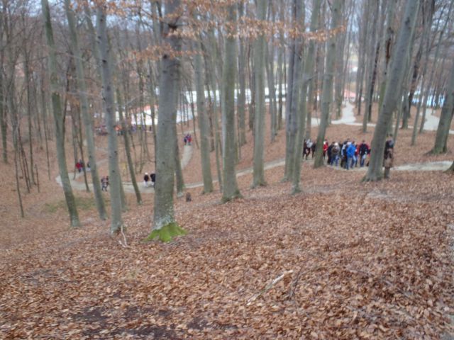 20150118 Vincekov pohod-prijetno druženje - foto