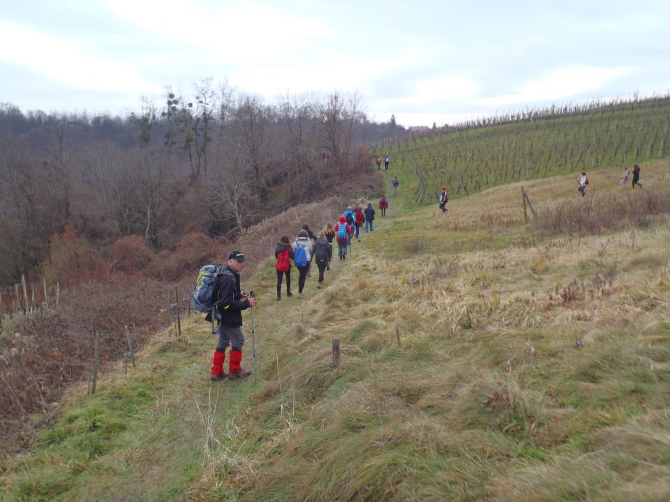 20150118 Vincekov pohod-prijetno druženje - foto povečava