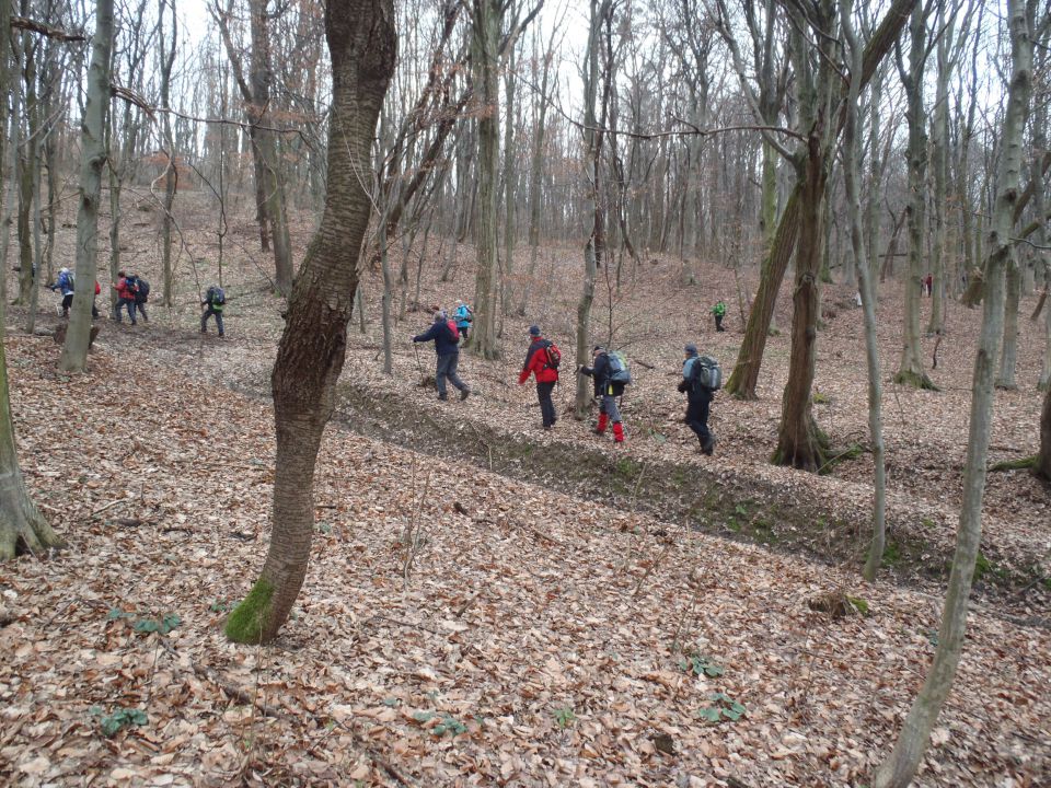 20150118 Vincekov pohod-prijetno druženje - foto povečava