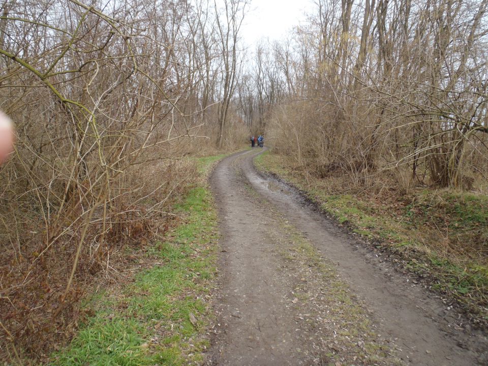 20150118 Vincekov pohod-prijetno druženje - foto povečava