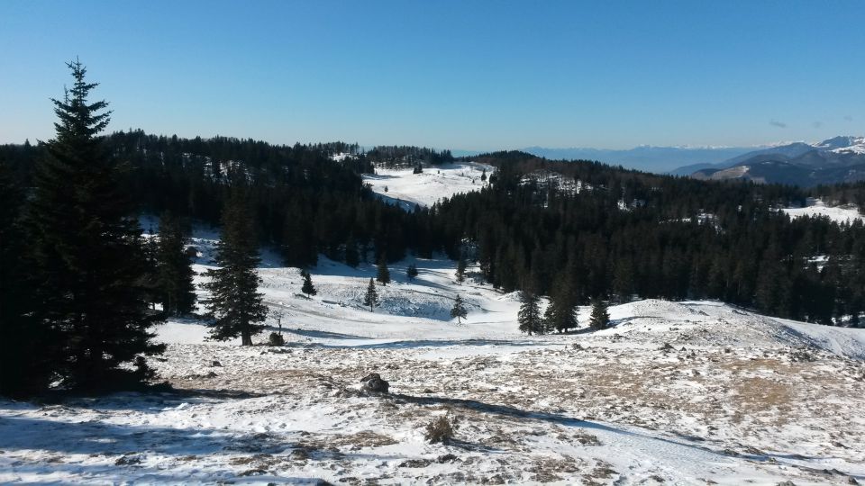 Spust s Špica v smeri Doma na Menini Planini