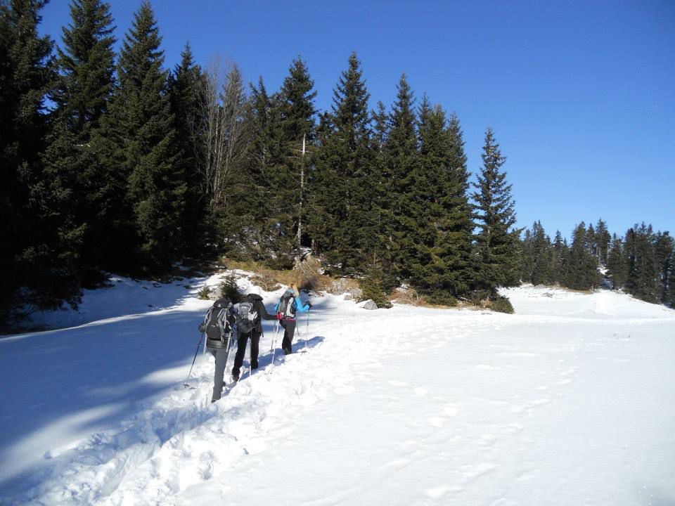 Pot nazaj proti Domu na Menini planini