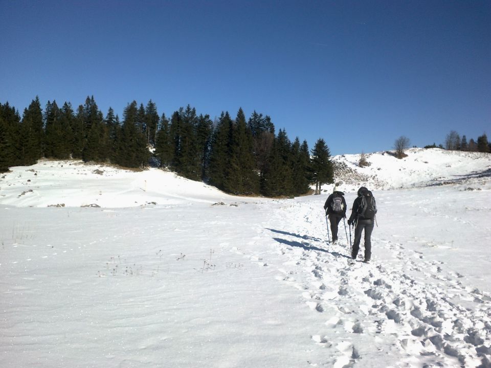 Pot nazaj proti Domu na Menini planini