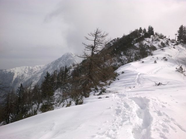 Pogled nazaj na prehojeno pot iz vrha in razgled na Storžič (levo)