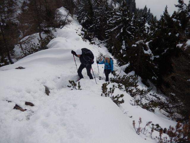 Pot proti Kriški gori