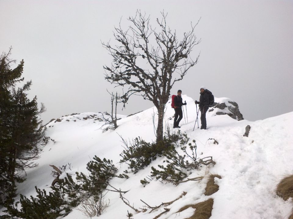 Pot proti Kriški gori