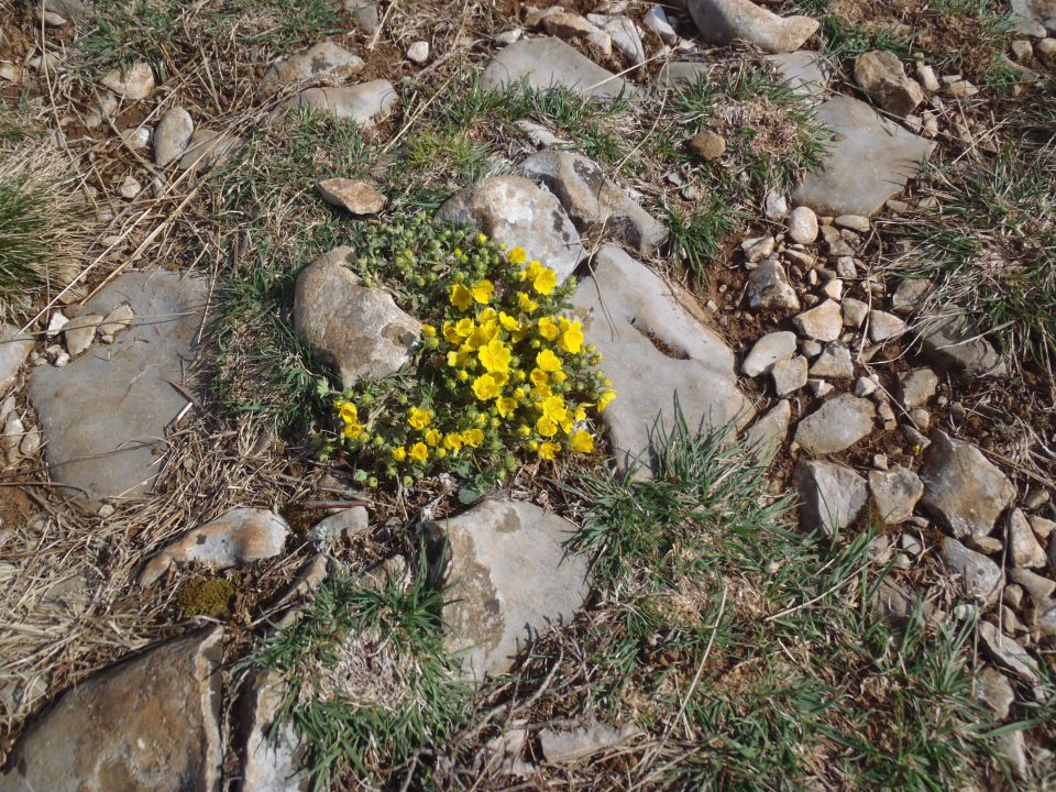 20150329 Bruno Biondi in dolina Glinščice - foto povečava