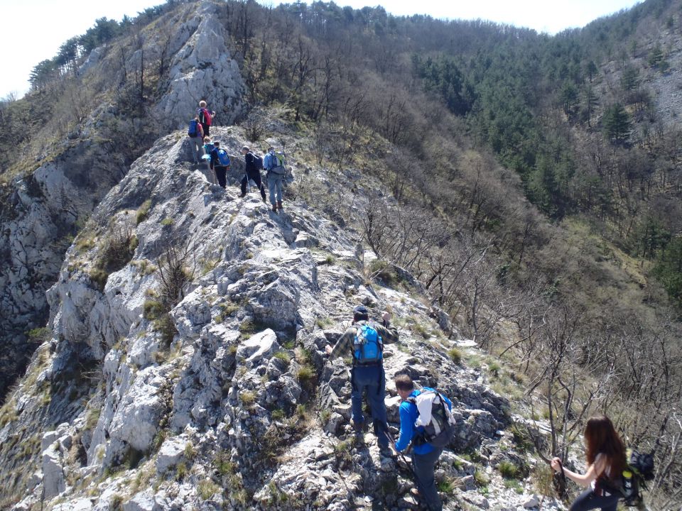 Nadaljevanje proti Vrhu Griže.